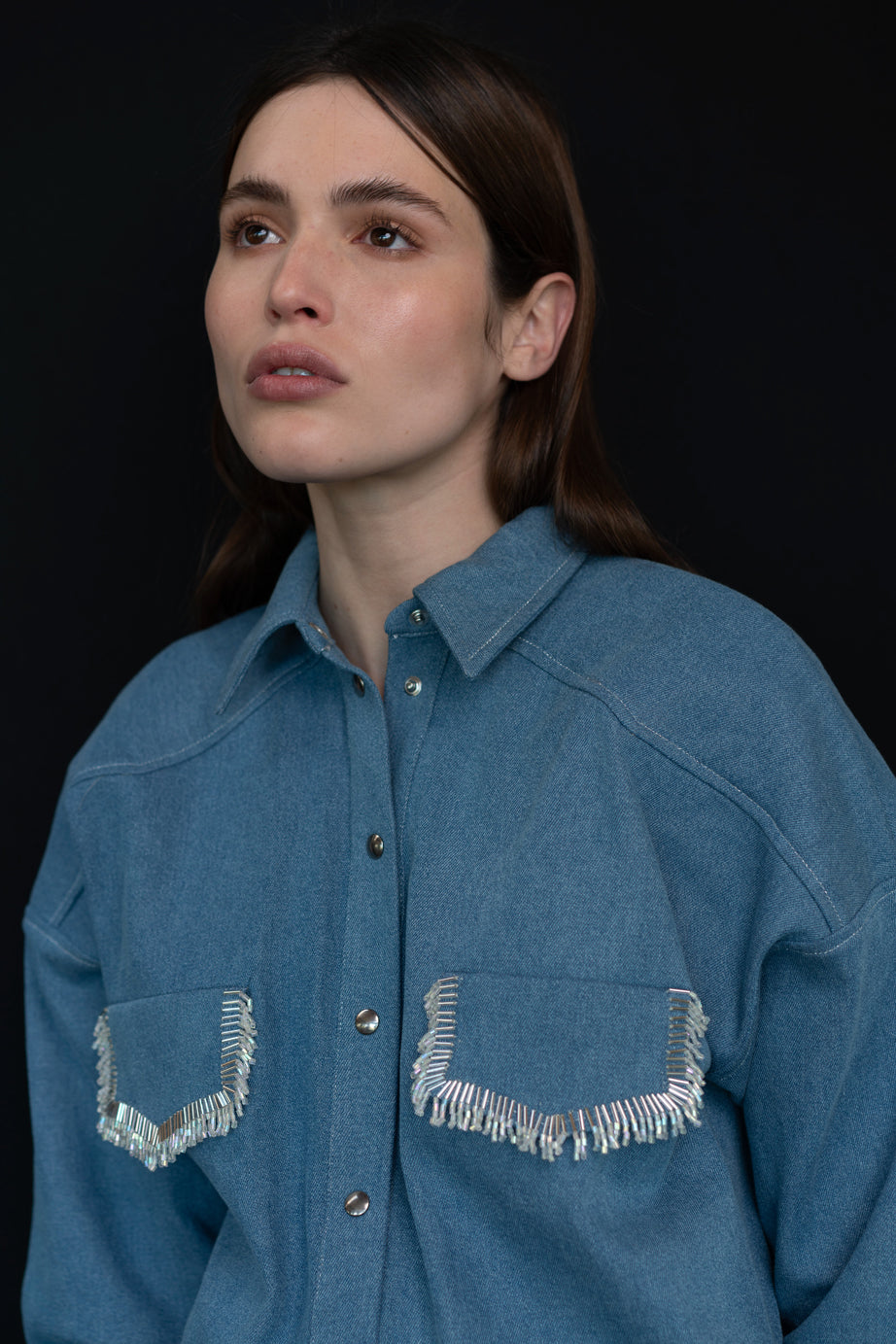 THE YELLOWSTONE SHIRT