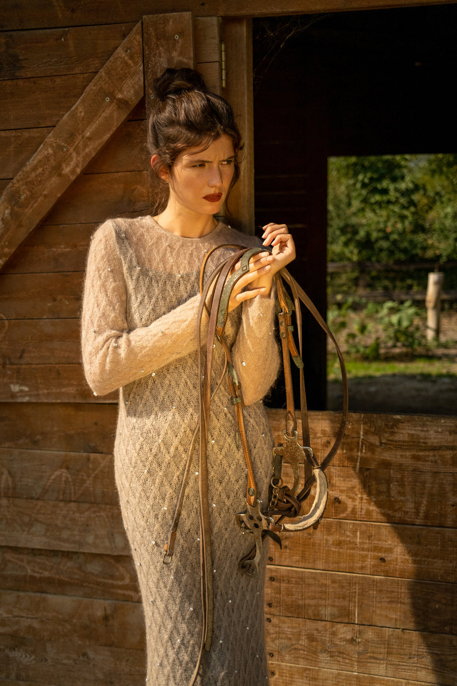 THE DIAMOND IN THE ROUGH DRESS